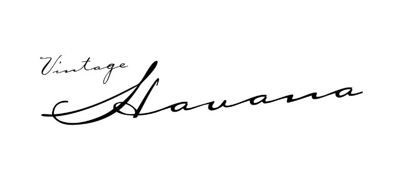 The Bolt-Out Secret: Vintage Havana Sneakers That Transformed Classic Comfort into Timeless Style